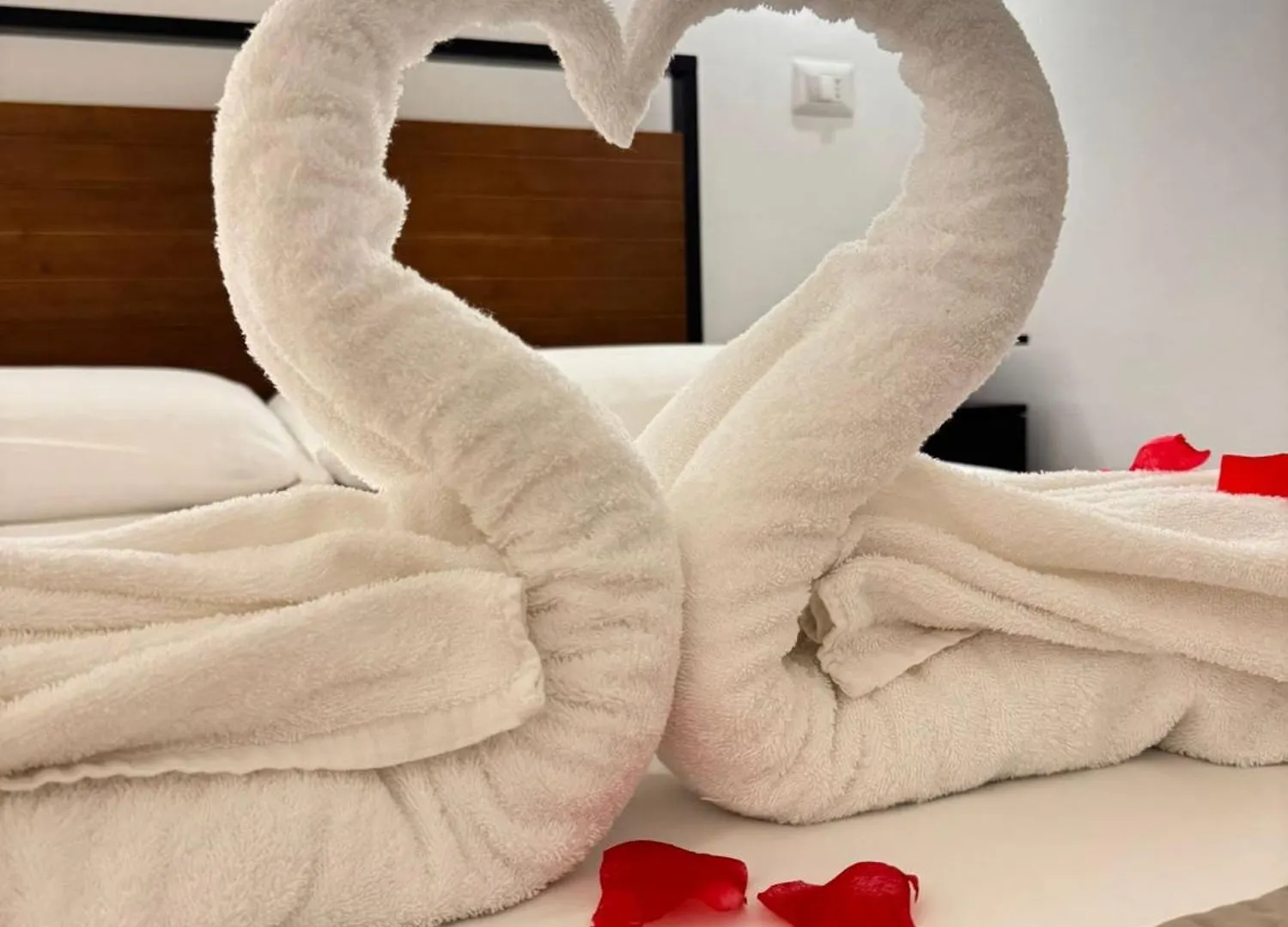 Luxury Apartment - La Fenice Bari Italia